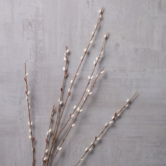 Pussy Willow Stem by Ashland®